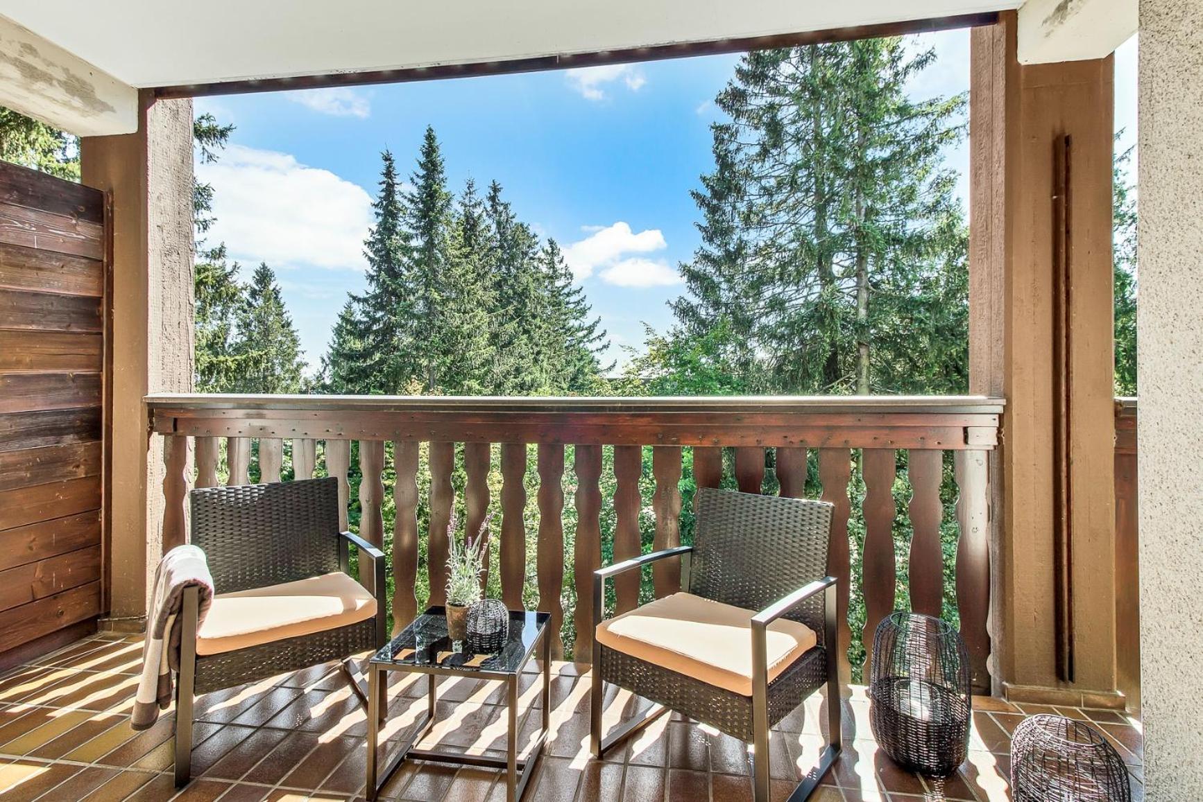 2 Bedroom Apartment Tokio And Sauna, 100M To Ski And Bikepark Winterberg Eksteriør bilde